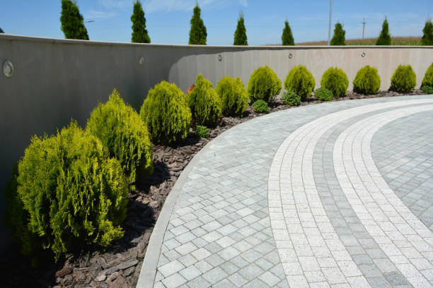 Best Driveway Paver Repairs and Restoration in USA